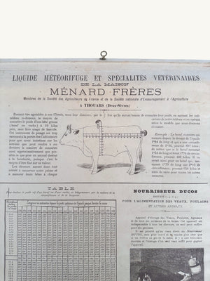 Advertisement poster