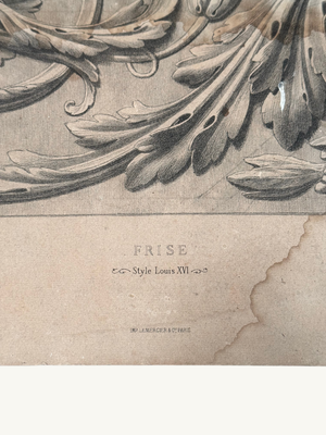 Frieze print