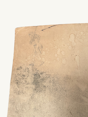 Frieze print
