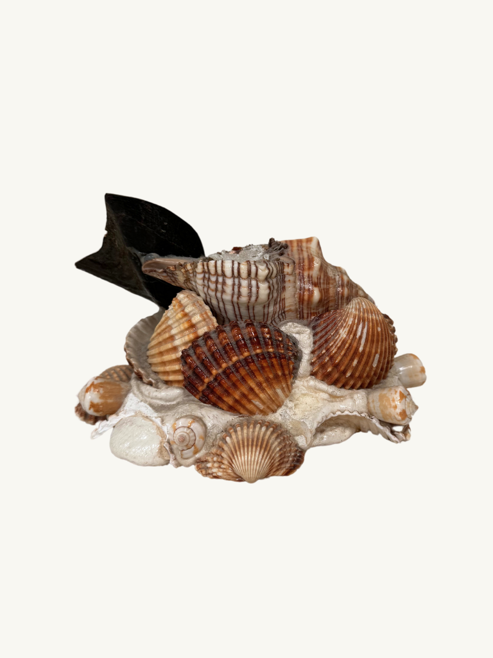 Shell ornament