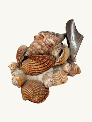 Shell ornament