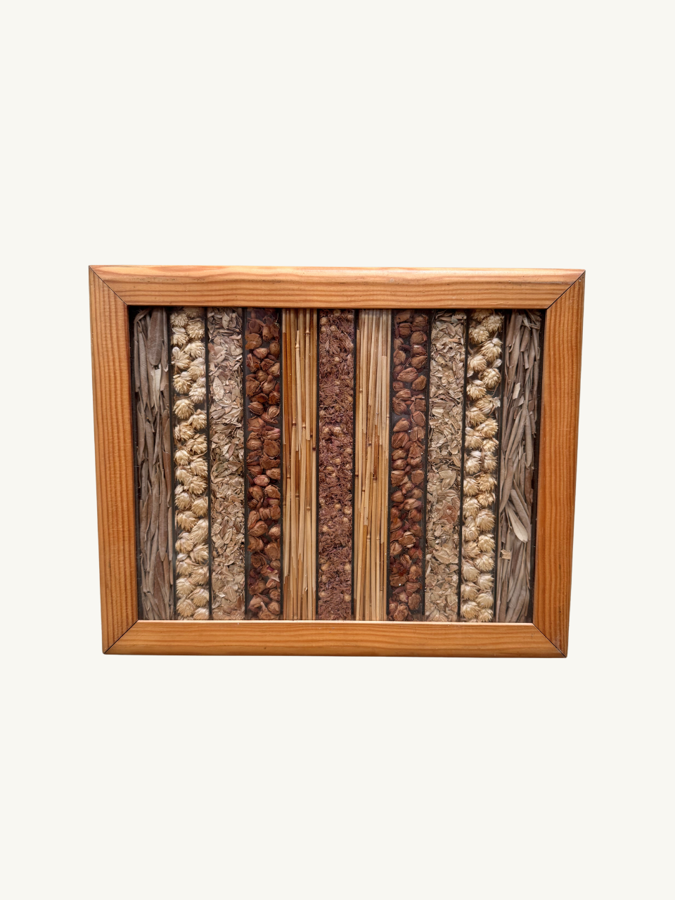 Dried herbs in frame