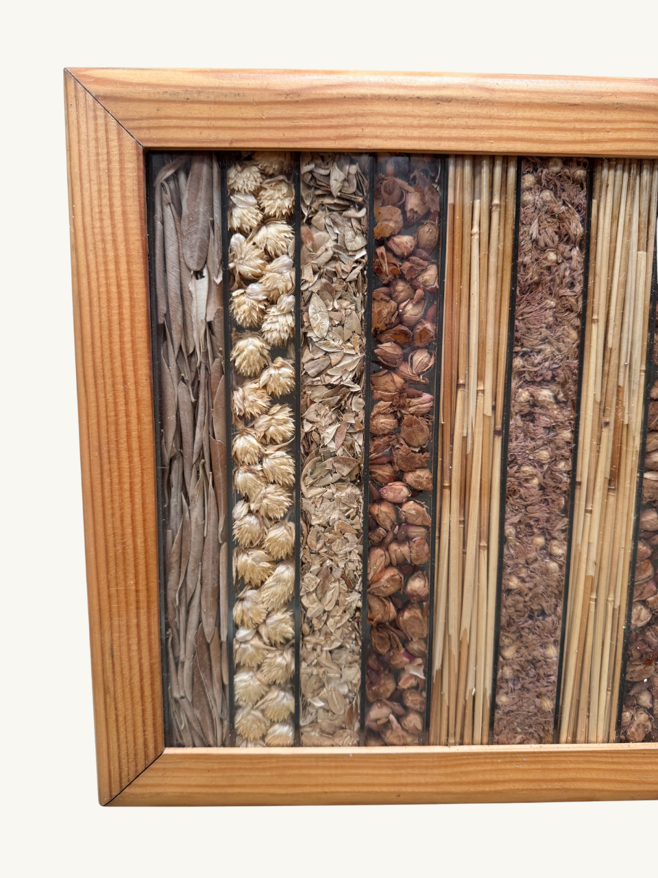 Dried herbs in frame