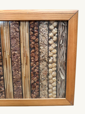 Dried herbs in frame