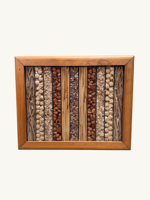 Dried herbs in frame