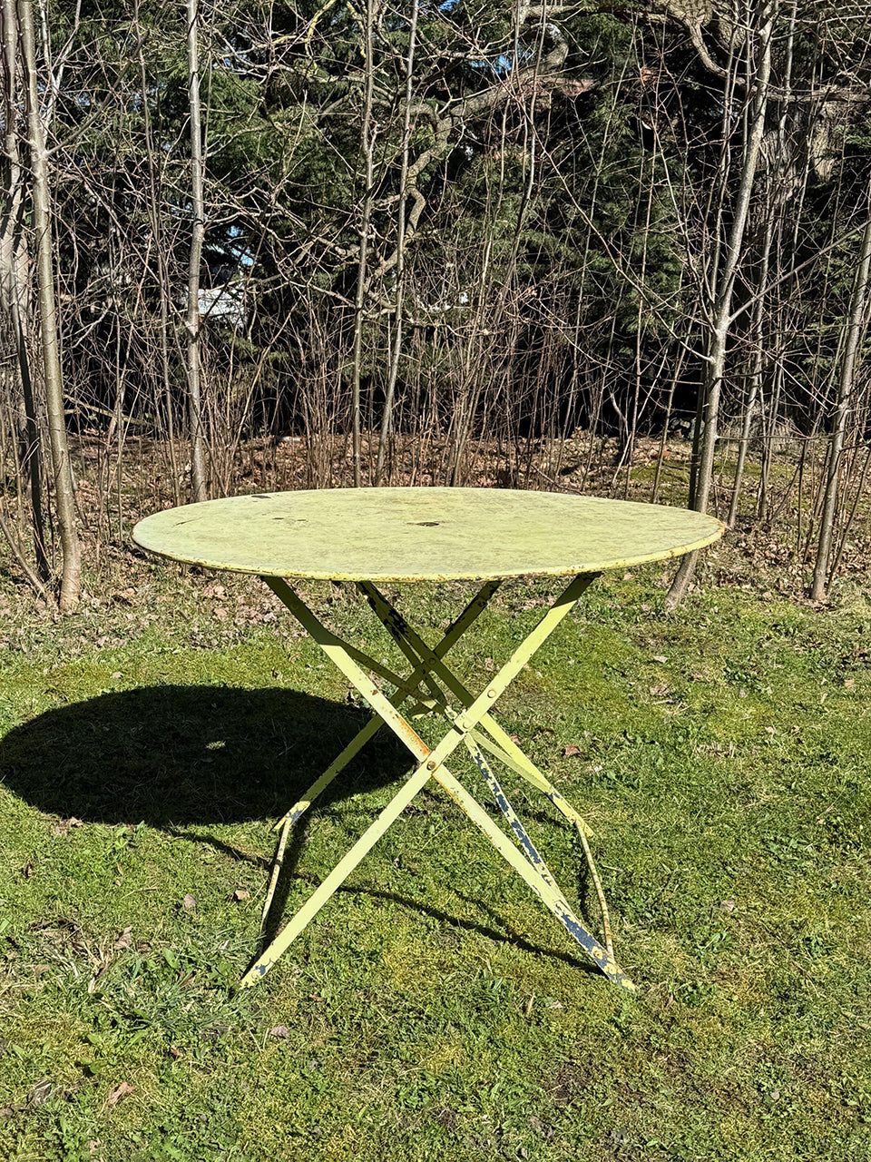 Lemon garden table