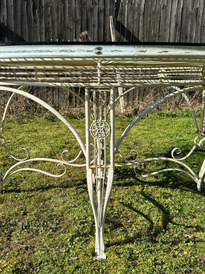 Glass top garden table and 10 chairs (Reserved)