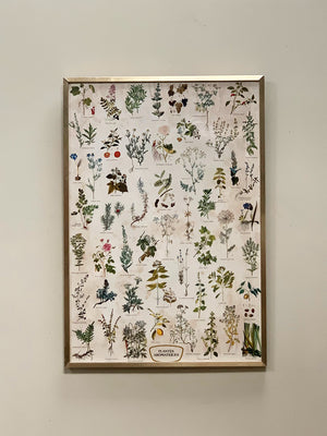 Large botanical framed print #2