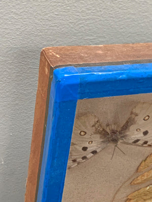Butterfly diorama