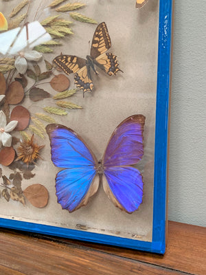 Butterfly diorama