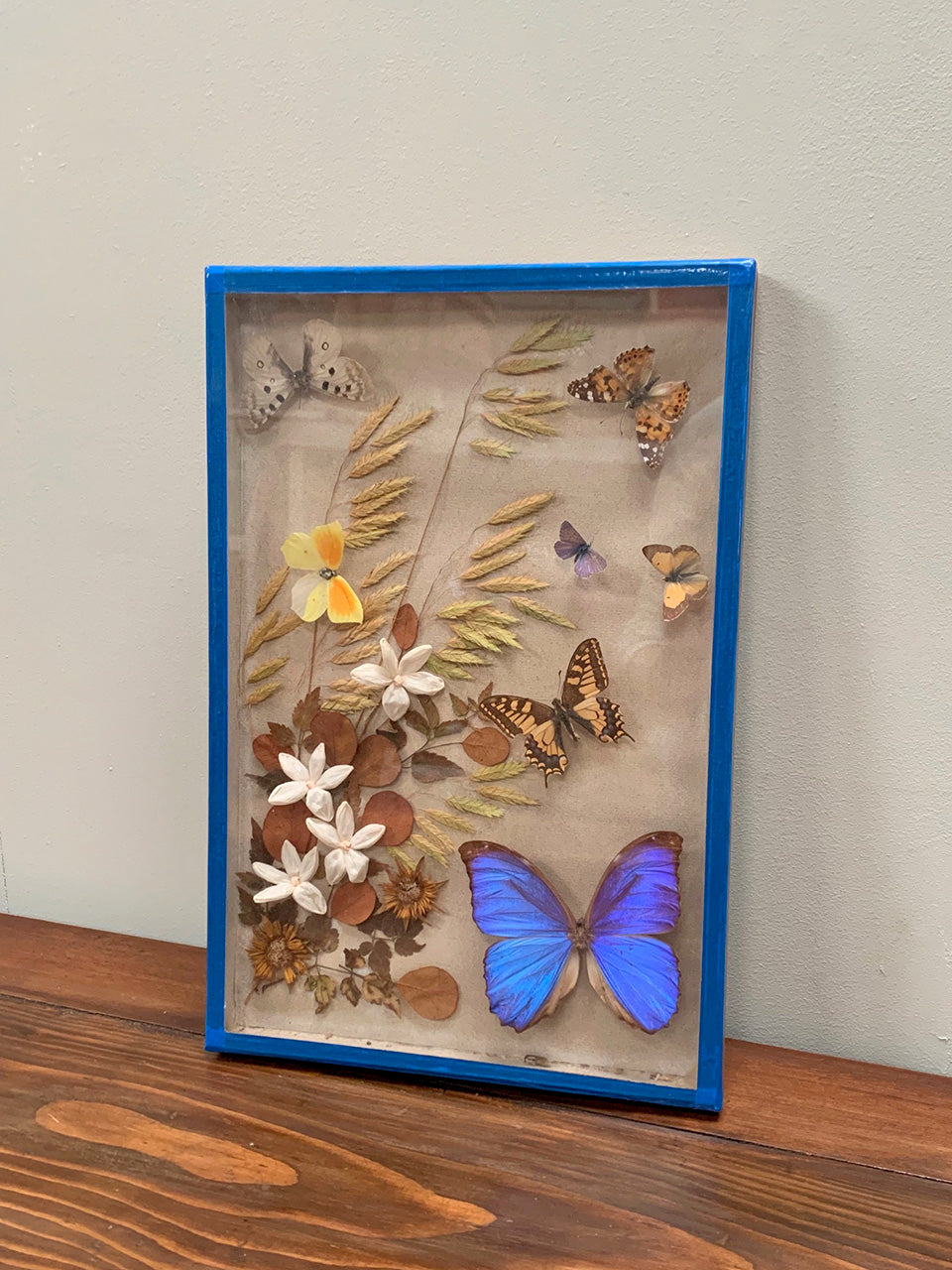 Butterfly diorama