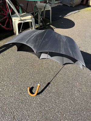 Gentleman's cane and umbrella