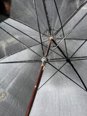 Gentleman's cane and umbrella