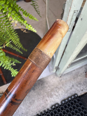 Gentleman's cane and umbrella