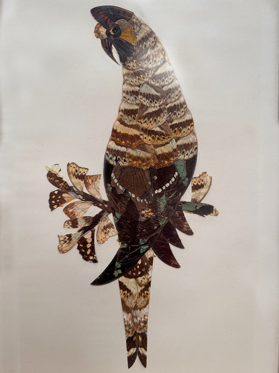 Trio of birds (Reserved)