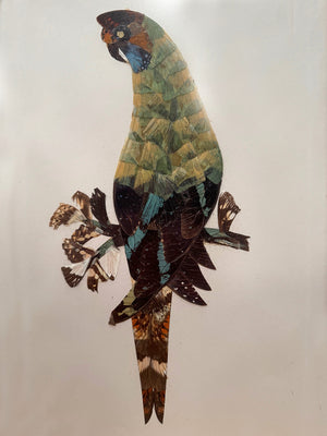 Trio of birds (Reserved)