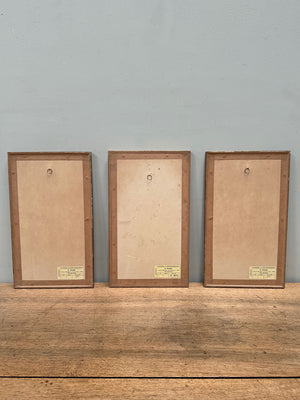 Trio of birds (Reserved)