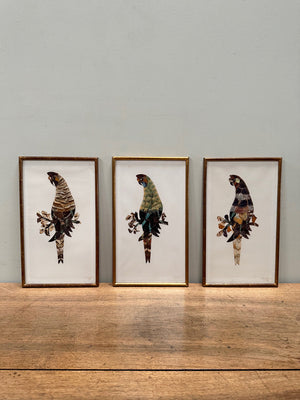 Trio of birds (Reserved)