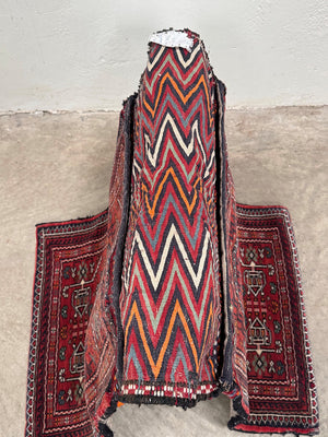 Camel bag