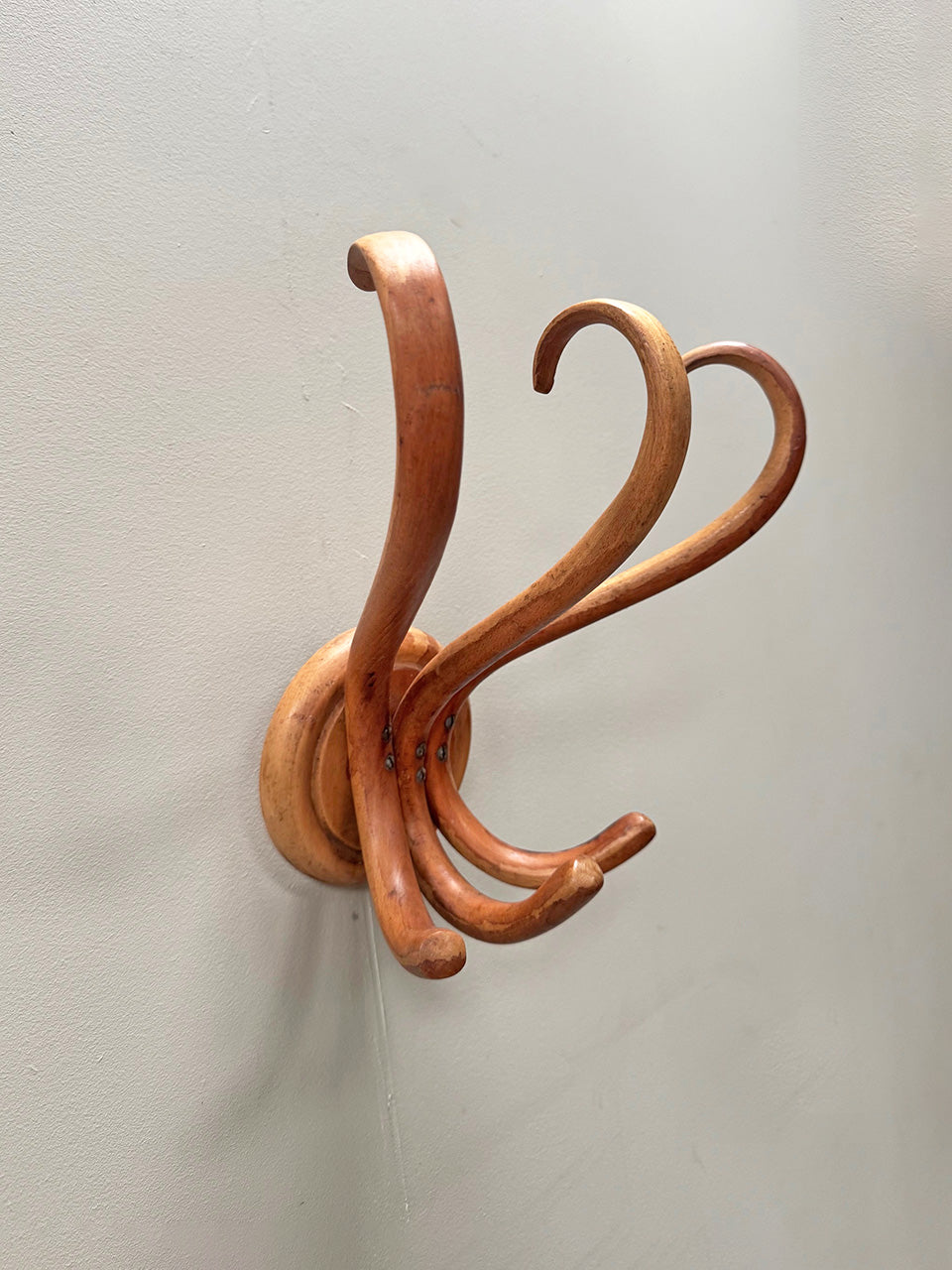 Bentwood coat hooks