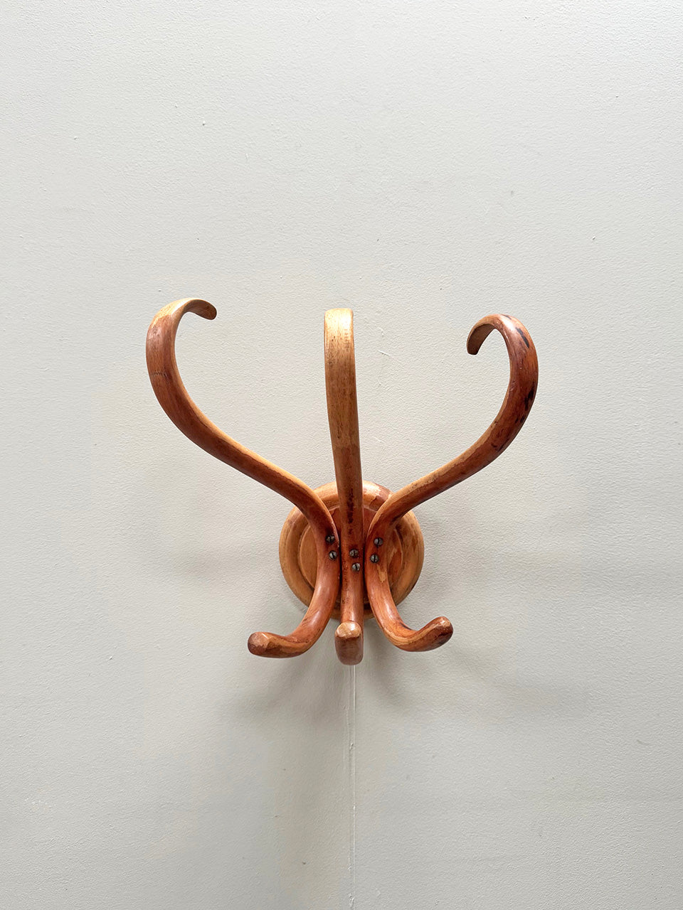 Bentwood coat hooks