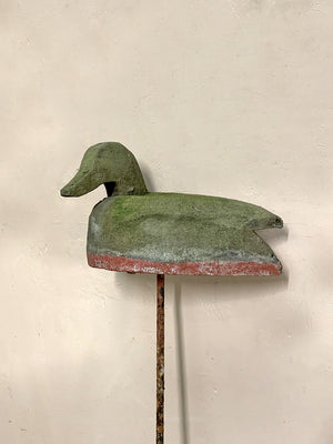 Decoy duck mounted on a spike
