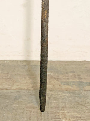 Decoy duck mounted on a spike