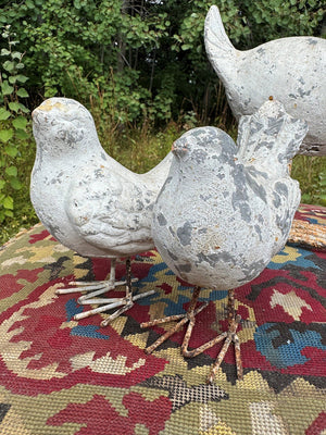 Mother hen and chicks