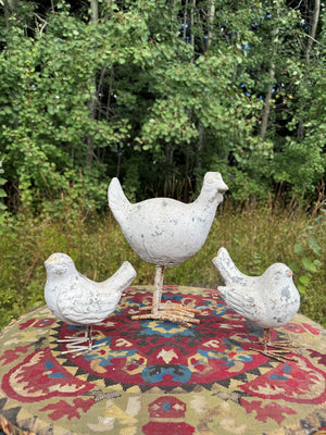 Mother hen and chicks