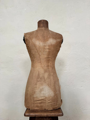 Mannequin torso