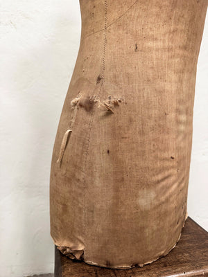 Mannequin torso