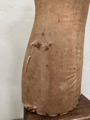 Mannequin torso
