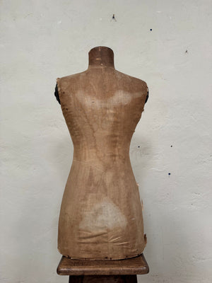 Mannequin torso