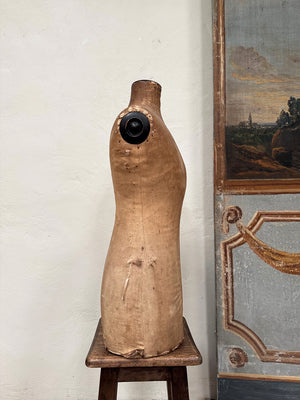 Mannequin torso