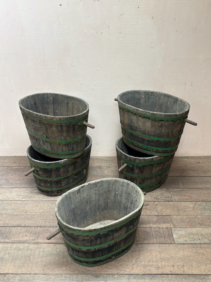 Oak grape hods (each)