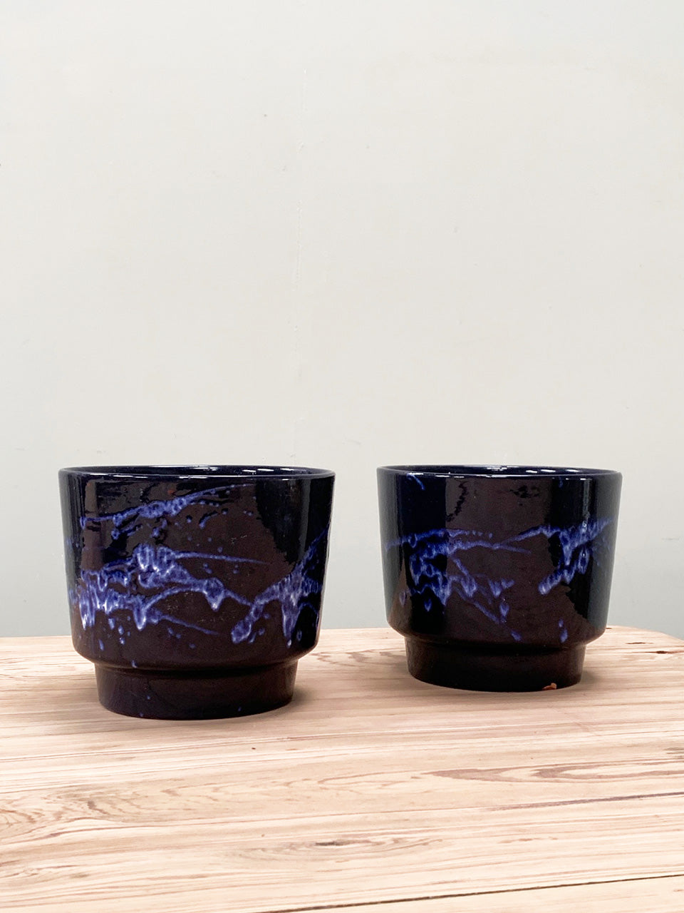 Pair of plant pots