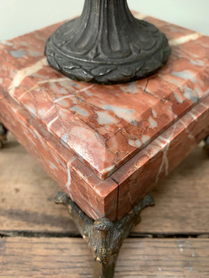 Pair of urns on marble bases