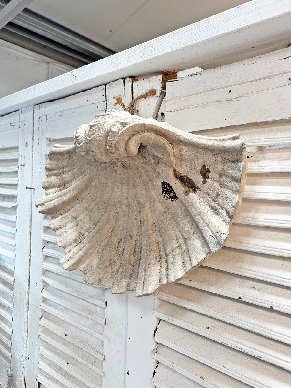 Large decorative shell