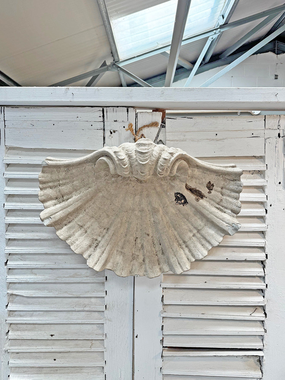 Large decorative shell