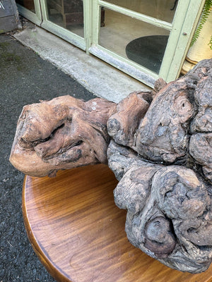 Gnarled vine root