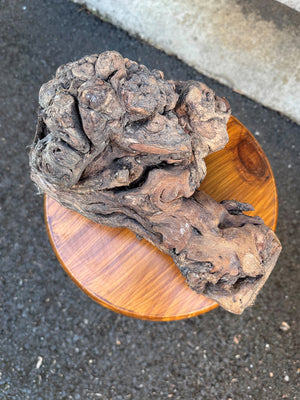 Gnarled vine root