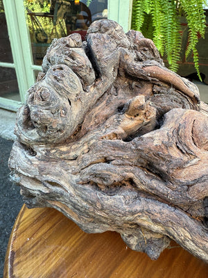 Gnarled vine root