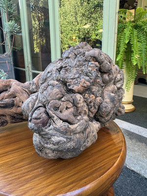 Gnarled vine root