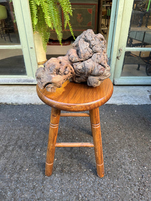 Gnarled vine root