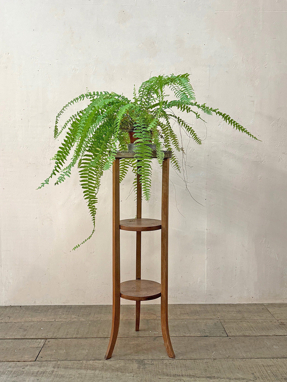 Tiered walnut plant stand