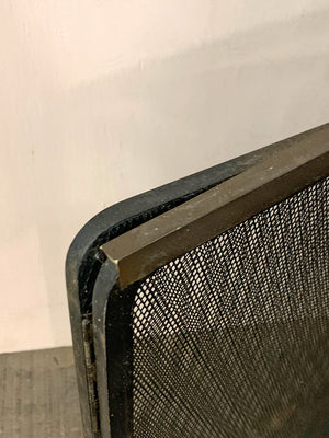 Low and wide fireguard