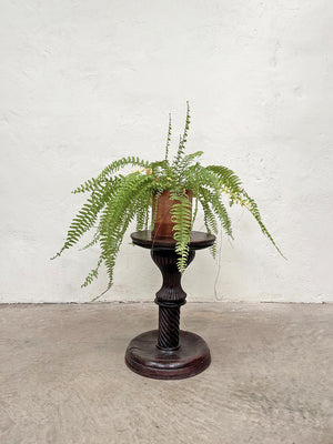 Carved plinth