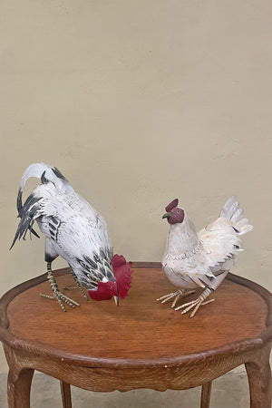 Pair of chickens (Priced individually)