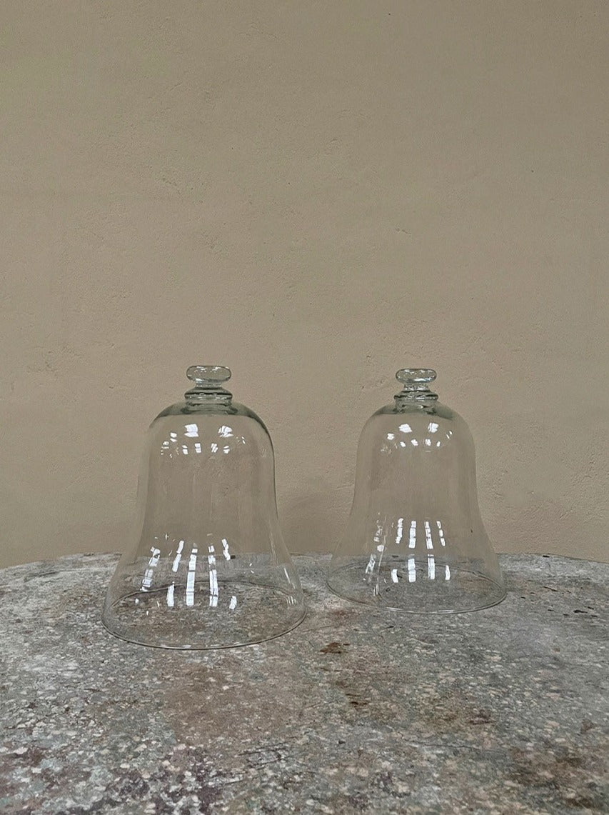2 glass cloches (each)