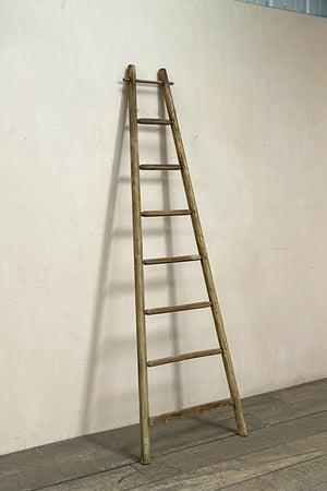 SNCF ladder